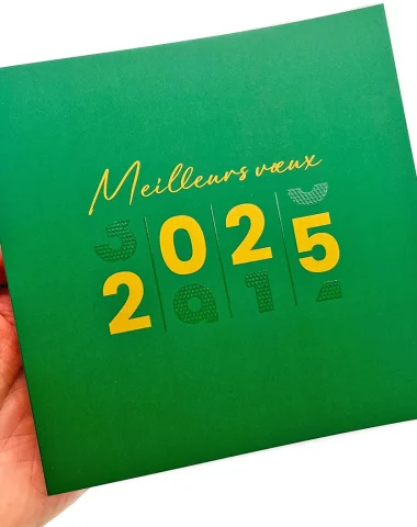 MEILLEURS VŒUX 2025